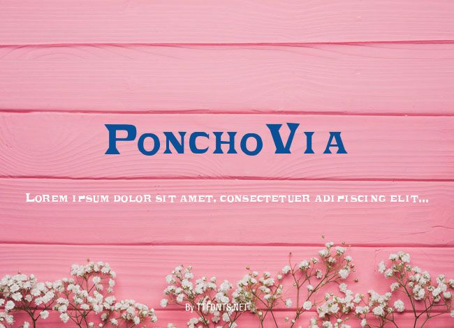 PonchoVia example