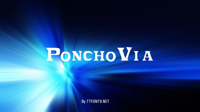 PonchoVia example