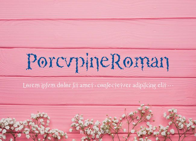 PorcupineRoman example