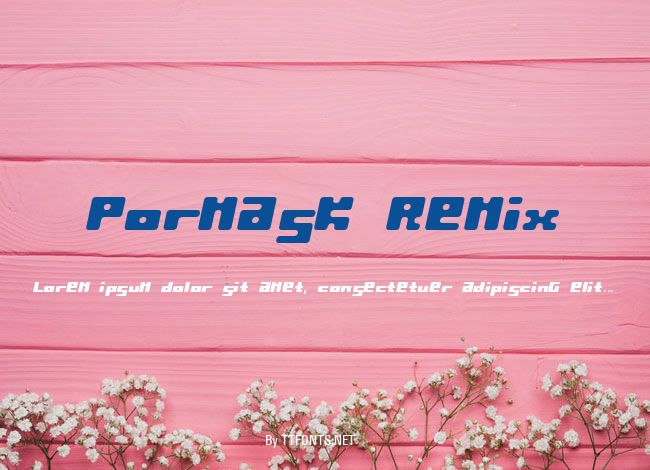 Pormask Remix example