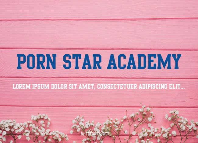 Porn Star Academy example
