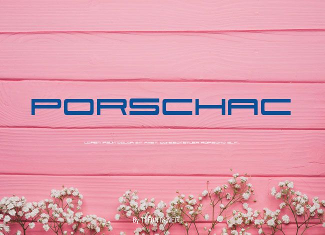 PorschaC example