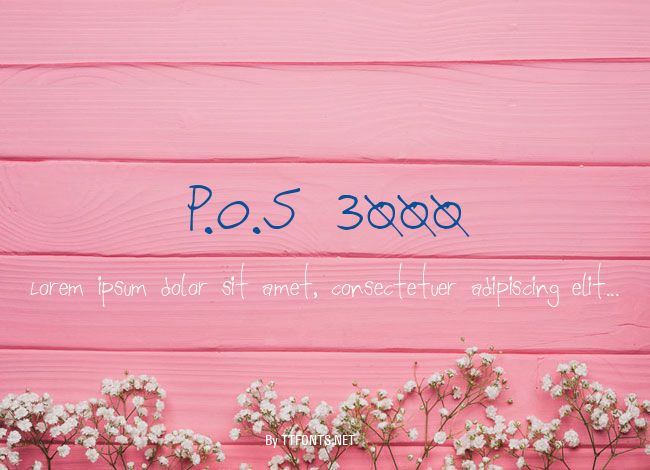 P.O.S 3000 example