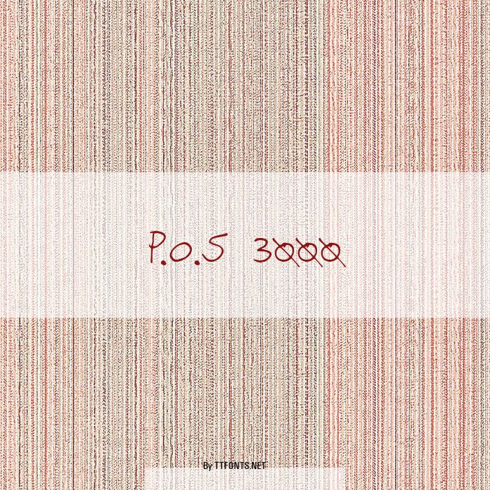 P.O.S 3000 example