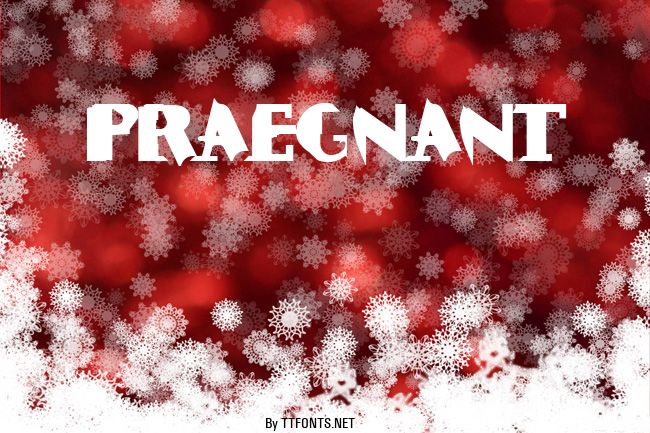 Praegnant example