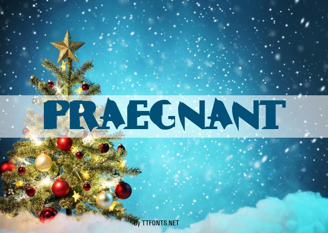 Praegnant example
