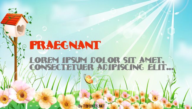 Praegnant example