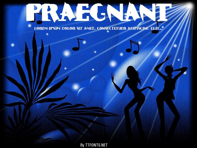 Praegnant example