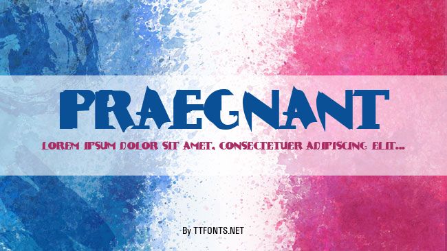 Praegnant example