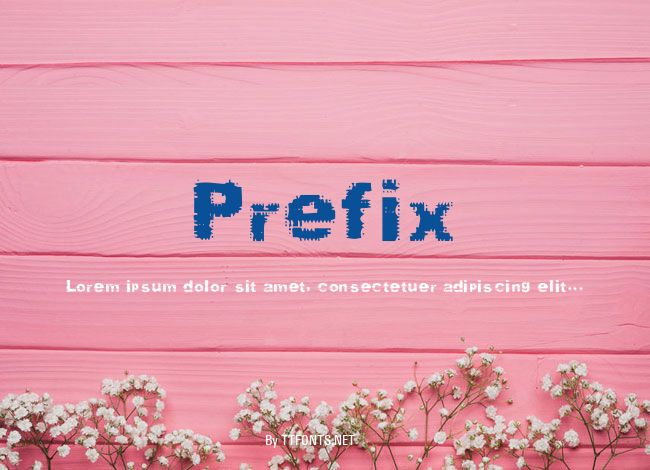 Prefix example