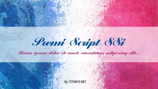 Premi Script SSi example