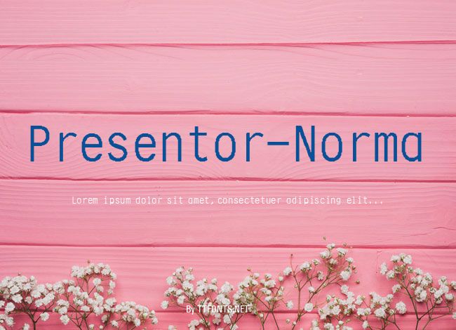 Presentor-Norma example