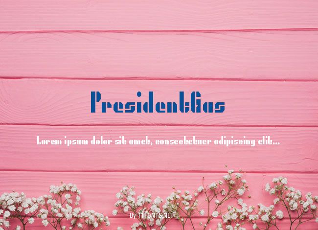 PresidentGas example