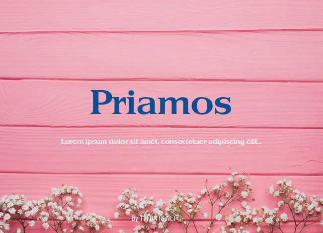Priamos example