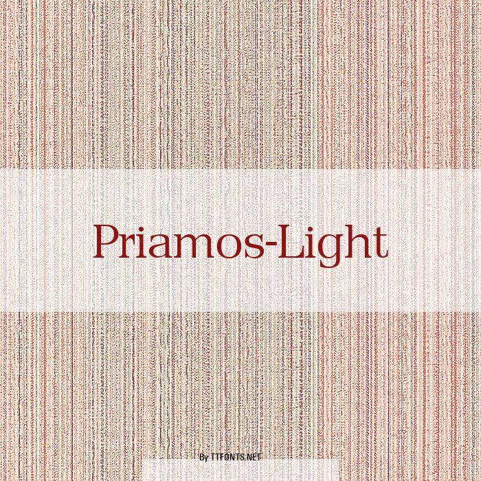 Priamos-Light example