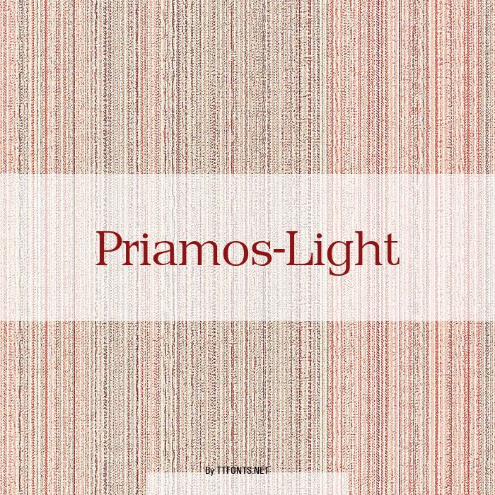 Priamos-Light example