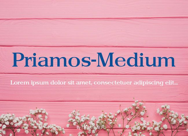 Priamos-Medium example