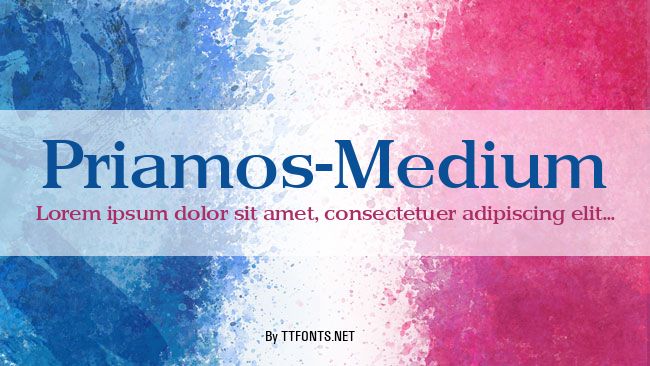 Priamos-Medium example