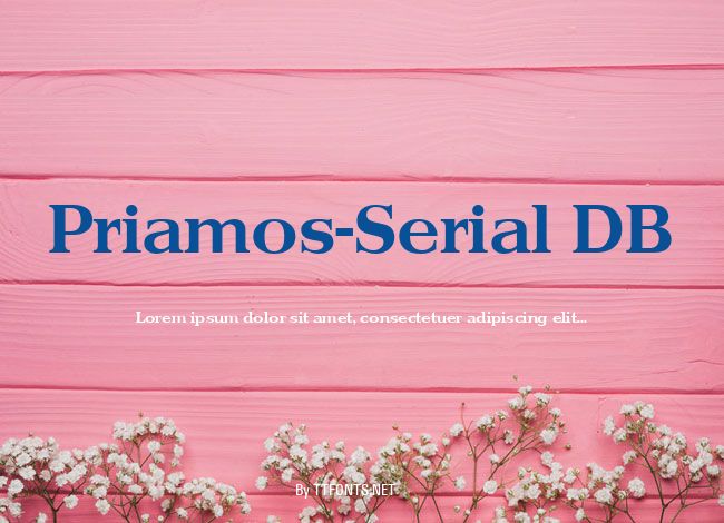 Priamos-Serial DB example