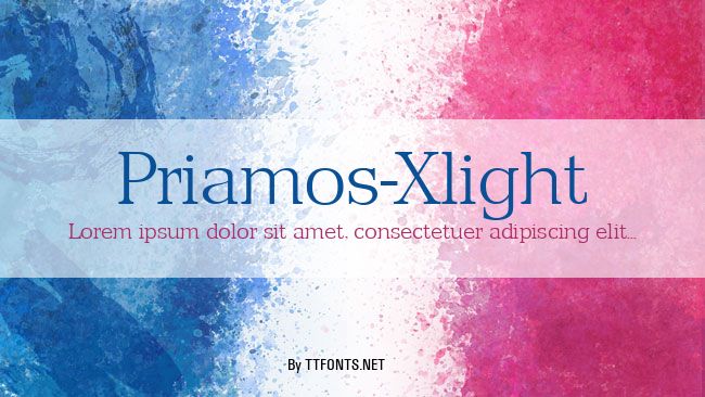 Priamos-Xlight example