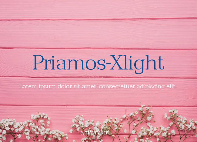 Priamos-Xlight example