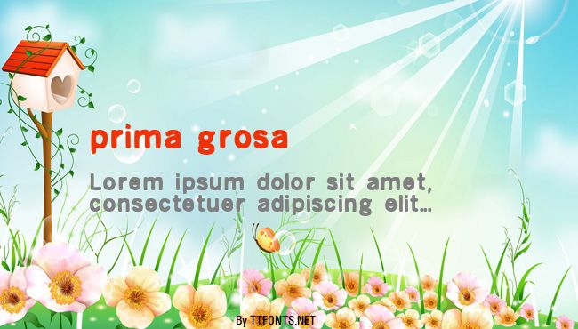 prima grosa example