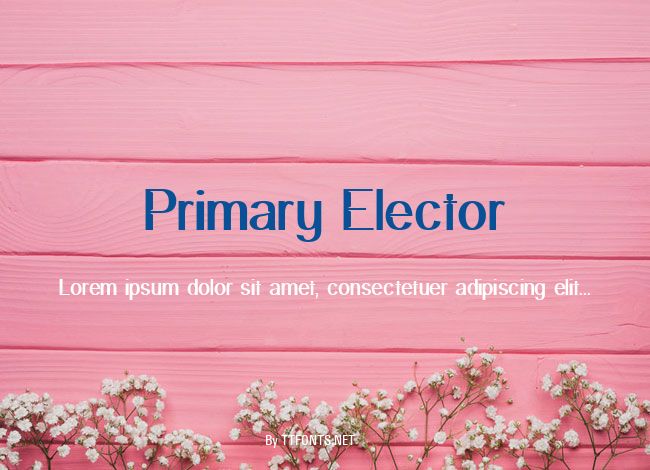 Primary Elector example
