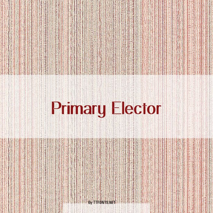 Primary Elector example