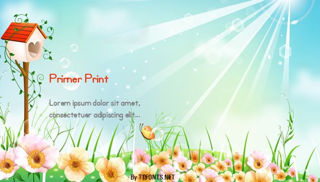 Primer Print example