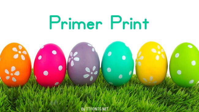 Primer Print example