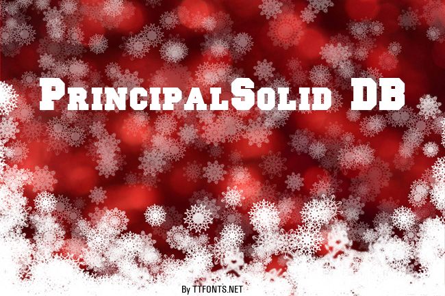 PrincipalSolid DB example