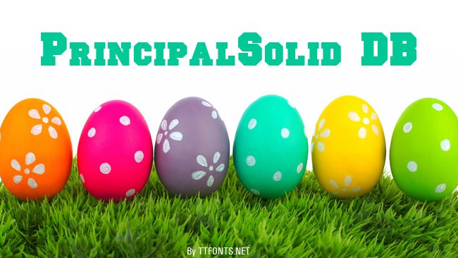 PrincipalSolid DB example