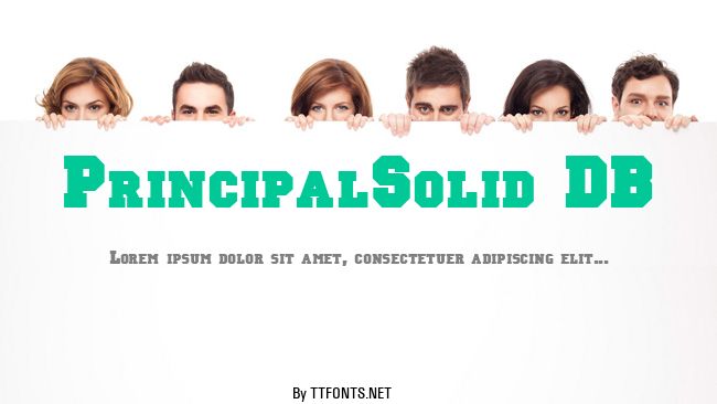 PrincipalSolid DB example