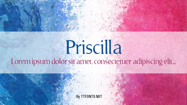 Priscilla example