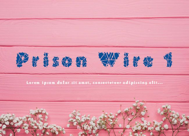 Prison Wire 1 example