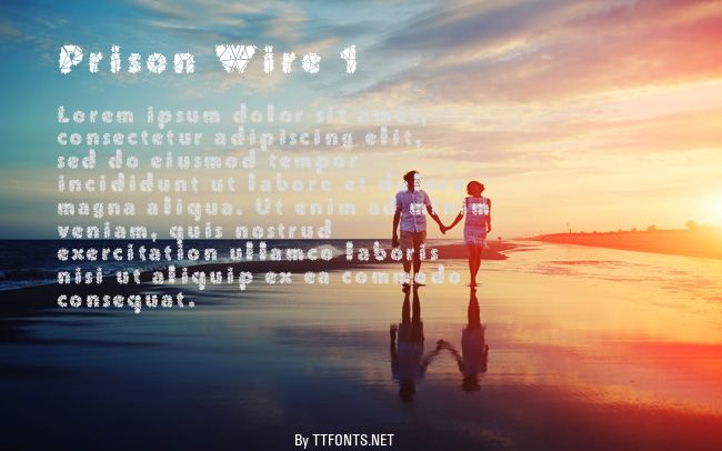 Prison Wire 1 example