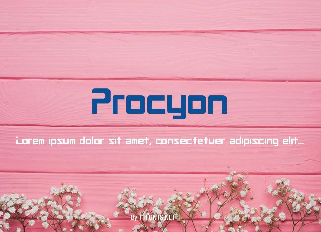 Procyon example