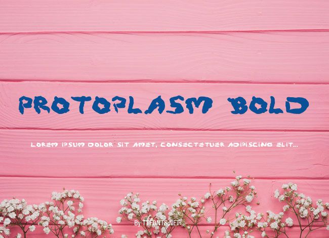 Protoplasm Bold example