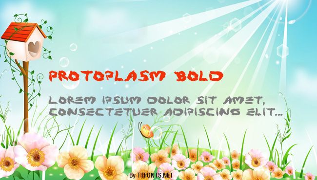 Protoplasm Bold example