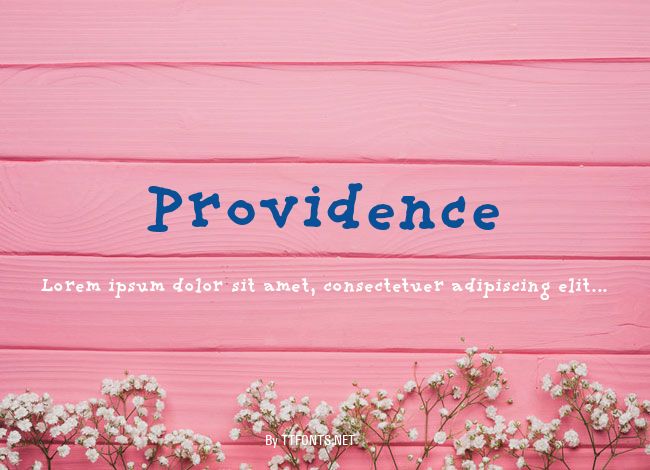 Providence example