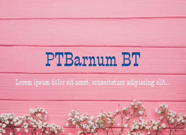 PTBarnum BT example