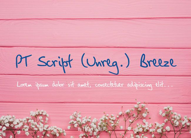PT Script (Unreg.) Breeze example
