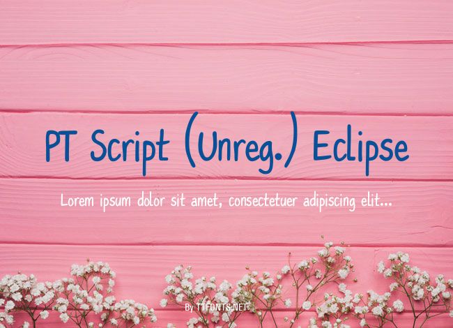 PT Script (Unreg.) Eclipse example