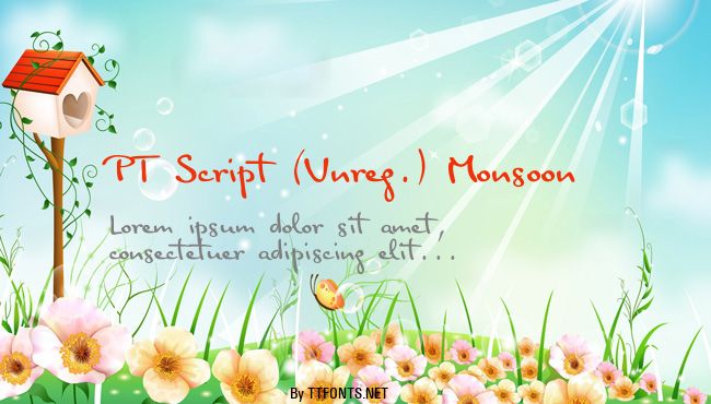 PT Script (Unreg.) Monsoon example