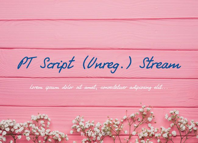 PT Script (Unreg.) Stream example