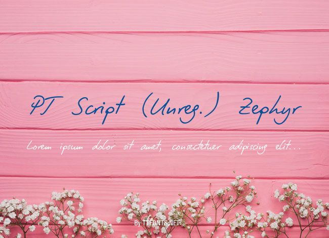 PT Script (Unreg.) Zephyr example