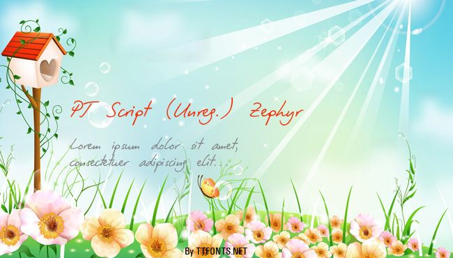 PT Script (Unreg.) Zephyr example