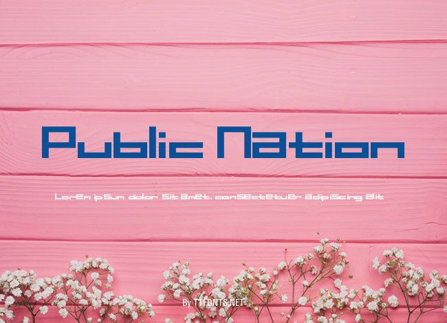 Public Nation example