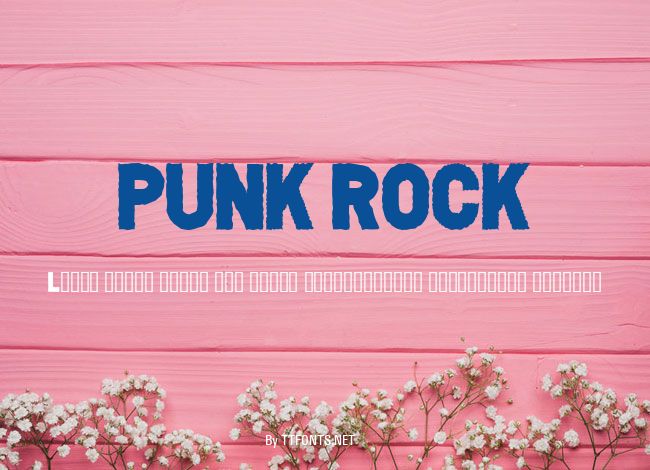 PUNK ROCK example