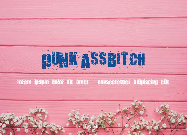 pUNKASSBITCH example